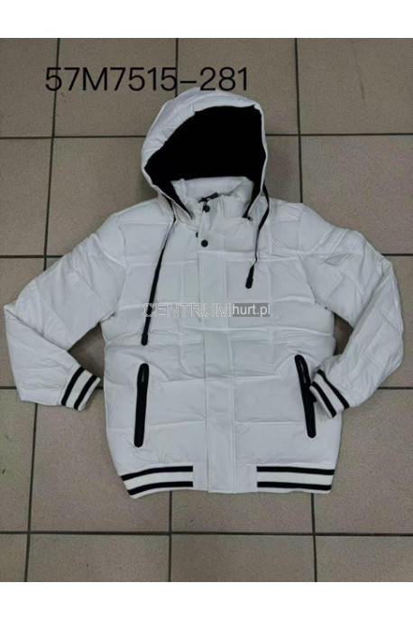 Kurtka męska zimowa (S-2XL) 1