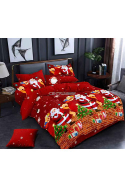 Komplet pościel 3 części (160x200) 2009