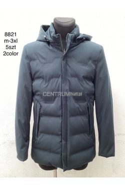 Kurtki męskie zimowe (M-3XL) 8821