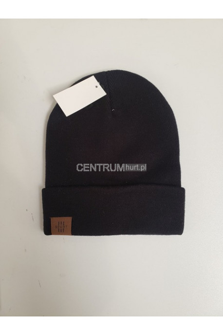 Czapki męskie 21
