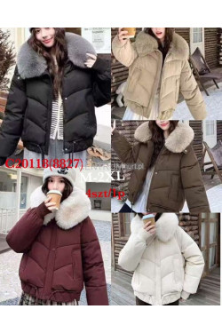 Kurtki damskie zimowe (M-2XL) 8827