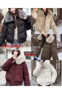 Kurtki damskie zimowe (M-2XL) 1