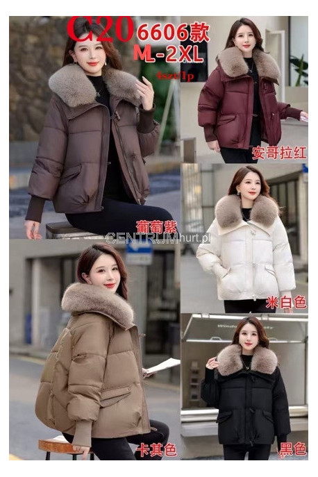 Kurtki damskie zimowe (M-2XL) 1