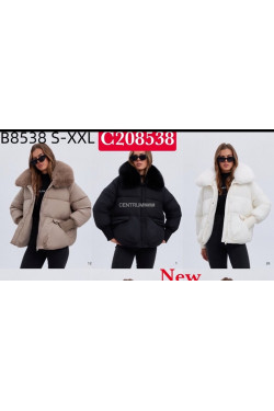 Kurtki damskie zimowe (S-2XL) 8538