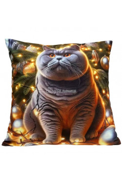 Poszewki (45x45cm) 9651