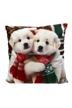 Poszewki (45x45cm) 9655