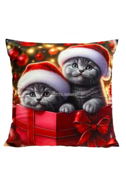 Poszewki (45x45cm) 9656