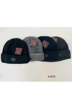 Czapki męskie 2773