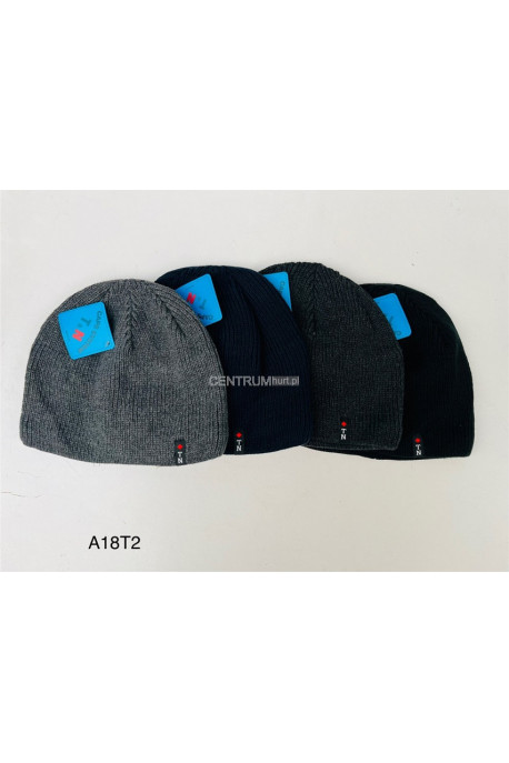 Czapki męskie 27