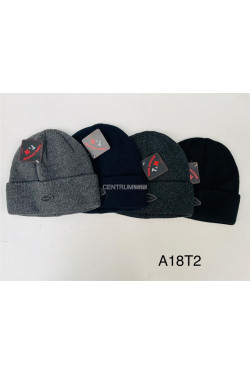 Czapki męskie 2782