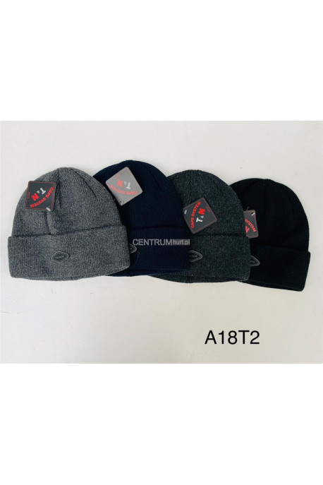 Czapki męskie 27