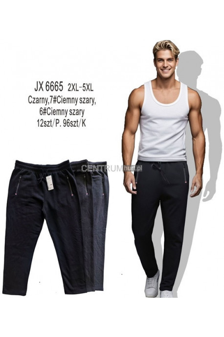 Spodnie dresowe męskie (M-2XL) 1