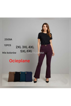 Spodnie damskie ocieplane (2XL-6XL) 1