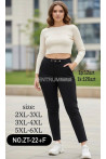 Spodnie damskie (2XL-6XL) 1