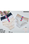 Majtki damskie (XL-3XL) 1