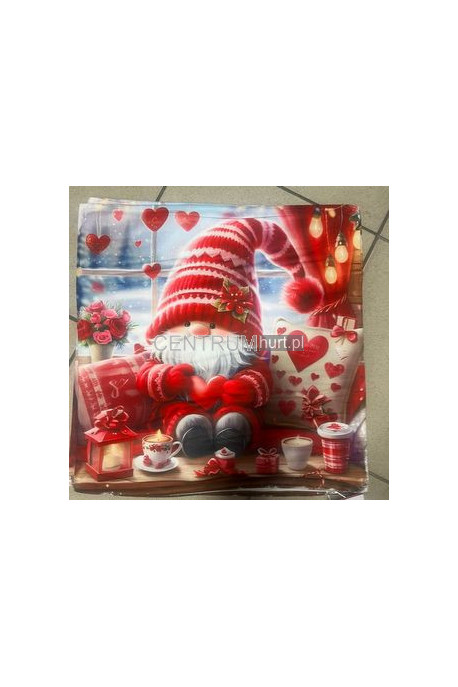 Poszewki mix wzorków (40x40) 9801