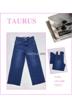 Jeansy dziewczęce (134-164) T-833
