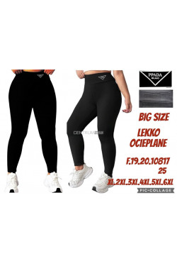 Leginsy damskie ocieplane (XL-6XL) 1081725