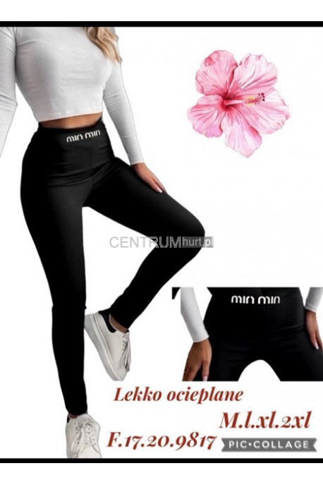 Leginsy damskie ocieplane (S-2XL) 1