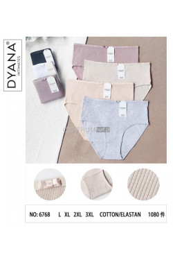 Majtki damskie (L-3XL) 6768