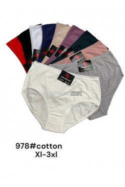 Majtki damskie (XL-3XL) 978