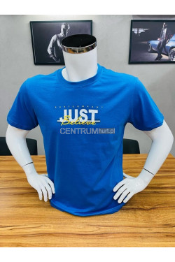 Koszulka męska (M-2XL) 3607