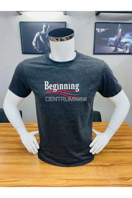 Koszulka męska (M-2XL) 36