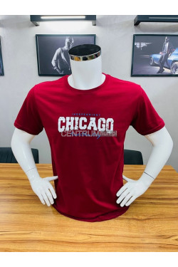 Koszulka męska (M-2XL) 3620