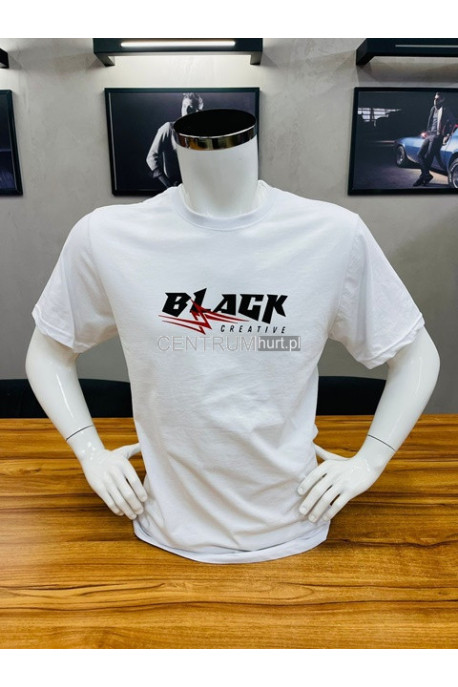 Koszulka męska (M-2XL) 36