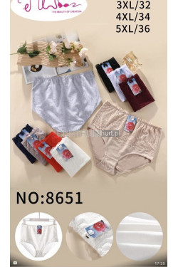 Majtki damskie (3XL-5XL) 8651