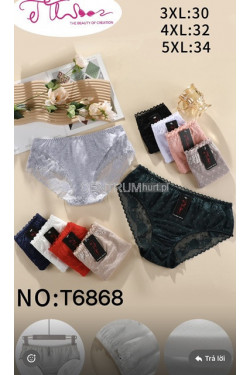 Majtki damskie (3XL-5XL) T6868
