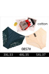 Majtki damskie (2XL-4XL) 1