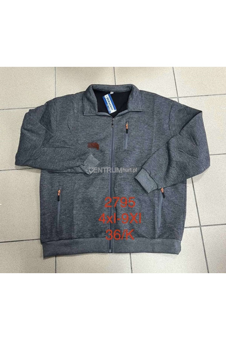 Bluza męska (M-2XL) 43