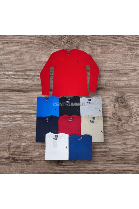 Koszulka męska (M-2XL) 43