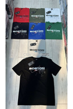 Koszulka męska (M-2XL) 4376