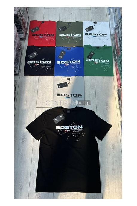 Koszulka męska (M-2XL) 43