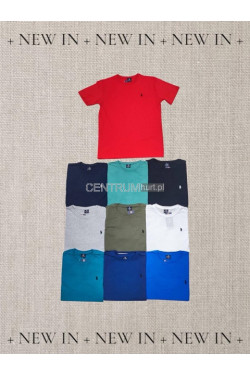 Koszulka męska (M-2XL) 4383