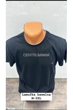 Koszulka męska (M-2XL) 4386