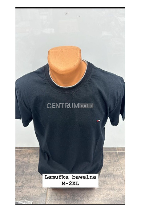 Koszulka męska (M-2XL) 43