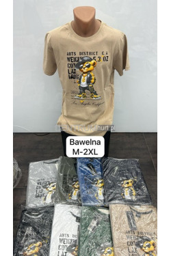 Koszulka męska (M-2XL) 4388