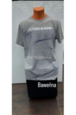 Koszulka męska (M-2XL) 4393