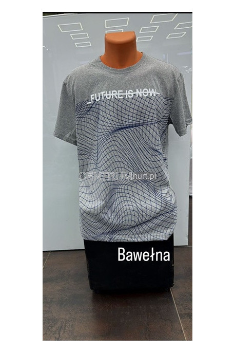 Koszulka męska (M-2XL) 43