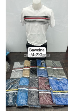 Koszulka męska (M-2XL) 4394