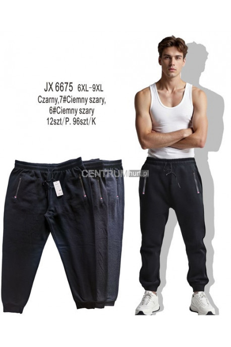 Spodnie dresowe męskie (M-2XL) 1