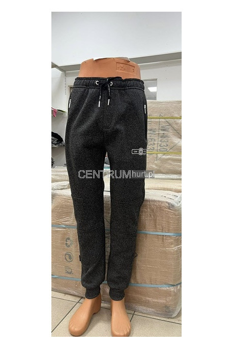 Spodnie dresowe męskie (M-2XL) 1