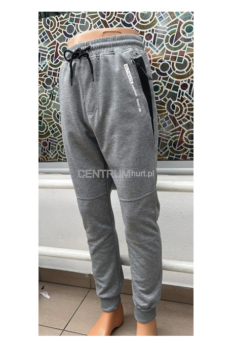 Spodnie dresowe męskie (M-2XL) 1