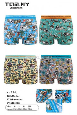 Bokserki męskie (M-2XL) 2531-C