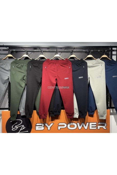 Spodnie dresowe męskie (M-2XL) 61