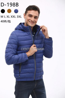 Kurtki męskie przejściowe (M-3XL) D198B