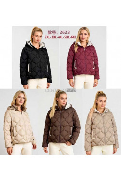 Kurtki damskie przejściowe (2XL-6XL) 2623